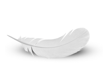 Egal, ob Taubenabwehr, Schädlingsbeseitigung oder Wespenbefall – unsere Profis aus Charlottenburg haben für Sie eine langfristige Lösung! Zu den Details.